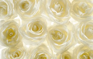 Larganique Beauté™ Spa