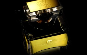 Larganique Beauté™ Liquid Gold