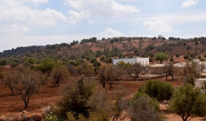 Larganique Beauté™ Morocco