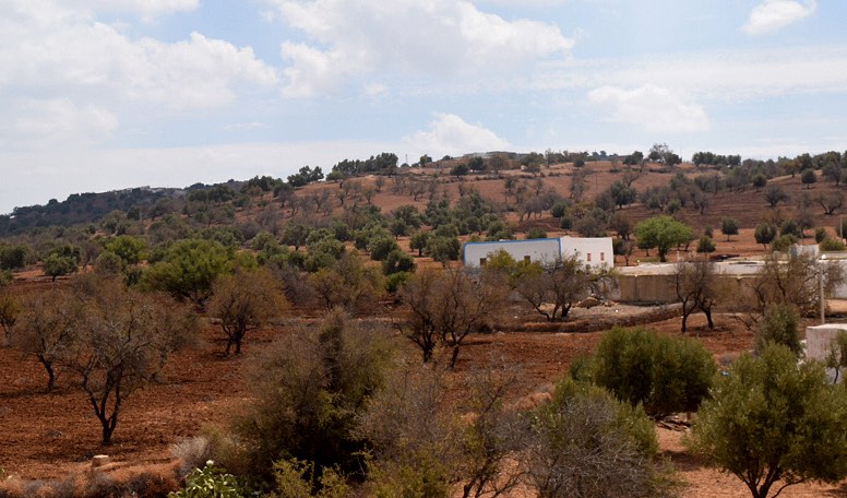 Larganique Beauté™ Morocco